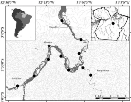 Figure 1. Study area on the middle Xingu River, Pará, Brazil. The black spots represent the sampling sites.