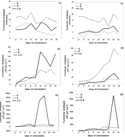 Figure 1.   Periphytic  algal  functional  groups  during  succession  in  a  widely  connected  lake  (Pau  Veio)-  (1-  Richness; 