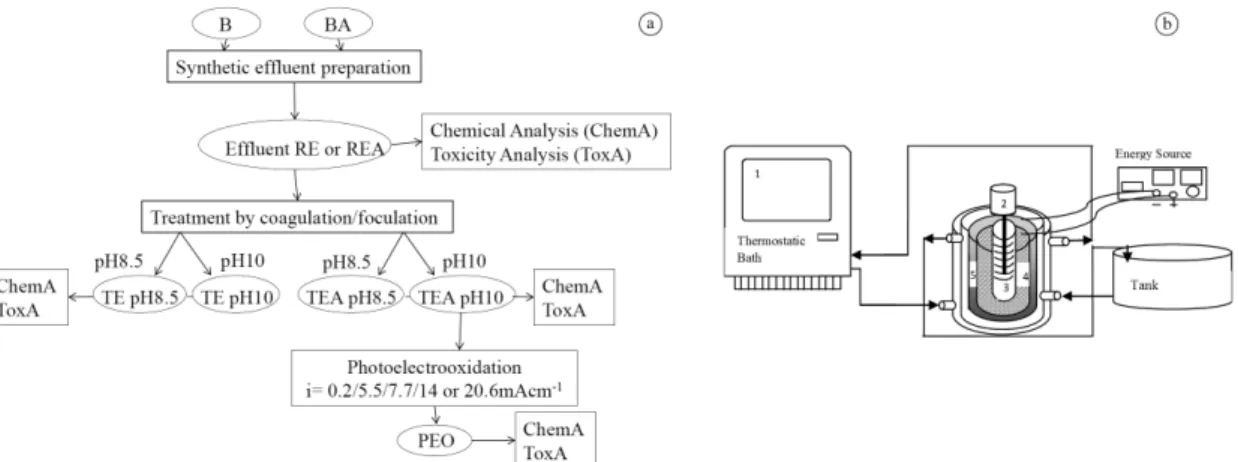 Figure  1.  Methods  (a)  Schematic  representation  of  method  used  in  this  study