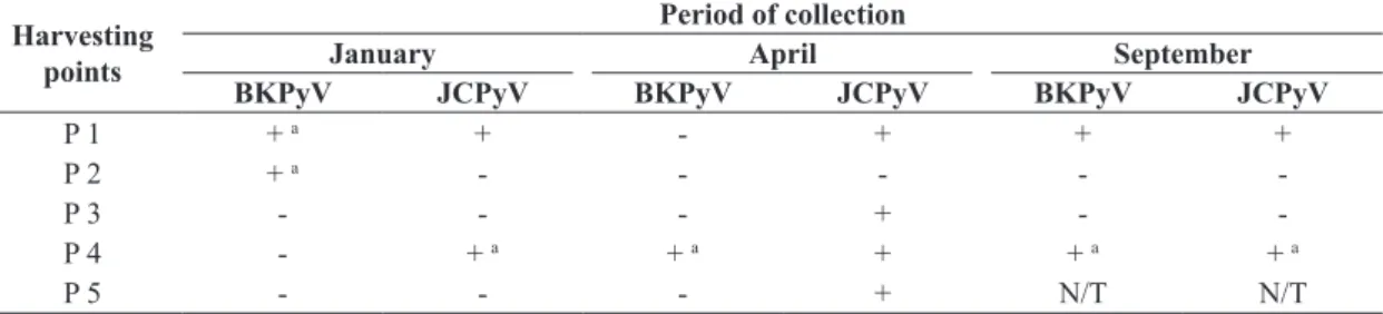 Table 1. Detection of BKPyV and JCPyV DNA in water samples collected from the Arroio Diluvio, Porto Alegre, Brazil.