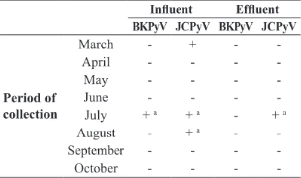 Figure 2.  Phylogenetic analysis of the nucleotide sequences of a 215bp fragment of the VP1 region of JCPyV
