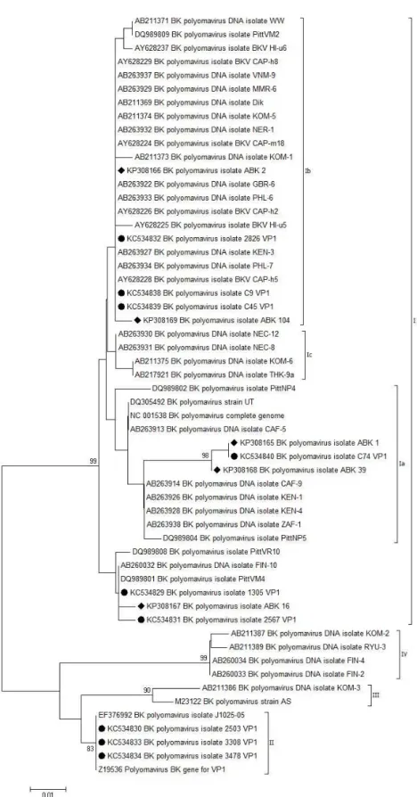 Figure 3.  Phylogenetic analysis of the nucleotide sequences of a 296bp fragment of the VP1 region of BKPyV