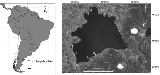 Figure 1.  Map of localization of Llanquihue lake, and sites considered in the present study (1: Llanquihue town; 2: Puerto  Chico bay; 3: Puerto Phillippi bay; 4: Puerto Rosales bay; 5: Ensenada bay; 6: Puerto Octay town; 7: Volcanes bay; 8: Venado  beach