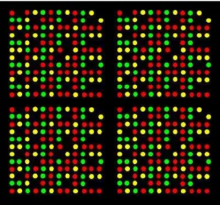 Figura 1.1: Representa¸c˜ ao de um registo digital das fluorescˆencias emitidas em cada ponto de um microarray de ADN-complementar ap´ os ser processado por um scanner.