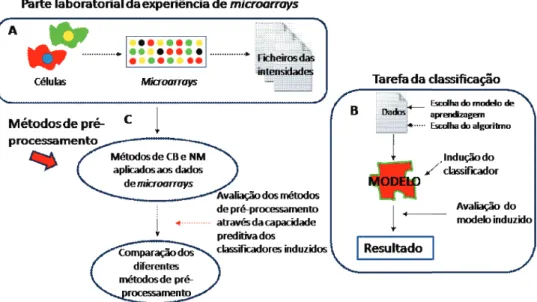 Figura 1.3: Fluxograma dos diferentes passos do processo de an´alise de dados de microarrays
