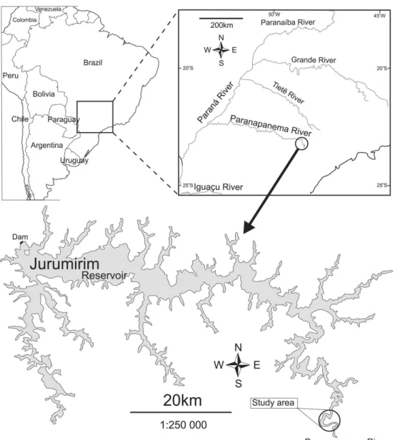 Figure  2.  Illustration  of  the  methods  applied  for sampling the different habitat architectures