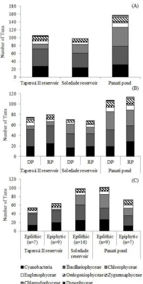 Figure 3. Richness of algae classes in the Bacillariophyceaeree  aquatic ecosystems of Taperoá River basin from October/2007  to  December/2010  (A);  Richness  of  algae  classes  in  the  different hydrological periods in three aquatic ecosystems of  Tap