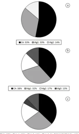 Figure 4. Average percentage of oocyte stages in females  of  Lutjanus  alexandrei at different maturity phases: 