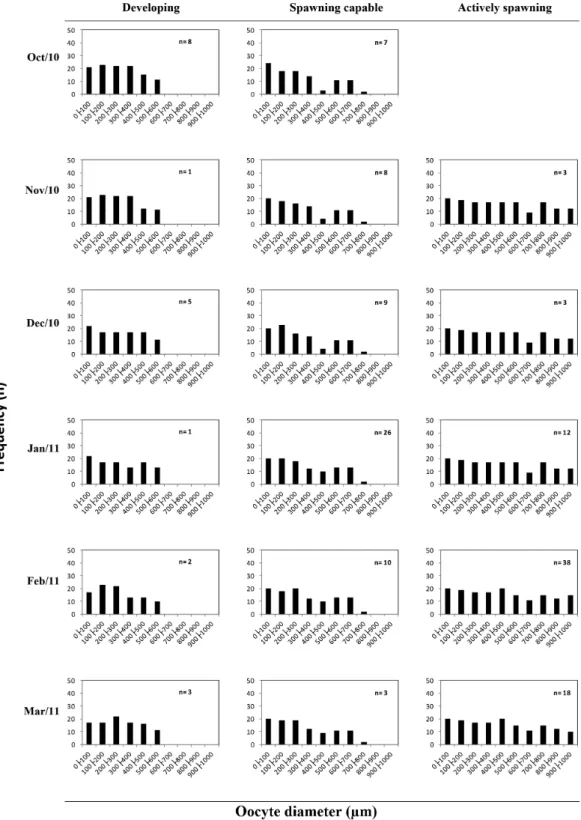 Figure 5.  Monthly change in the frequency distribution of oocytes (whole mounts) by 100 µm diameter size classes in  different maturity phases of Lutjanus alexandrei.