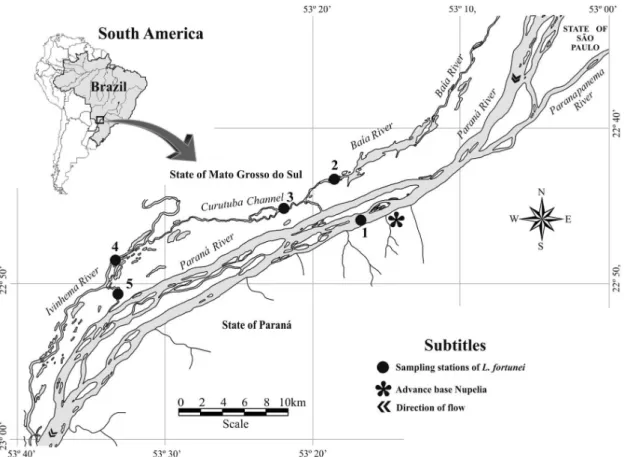 Figure 1. Sampling stations in the Paraná River floodplain. (1) Paraná River (main channel); (2) Baía River (main channel); 