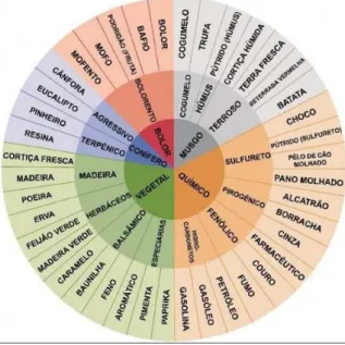 Figura 6: Roda dos aromas da cortiça [37]. 