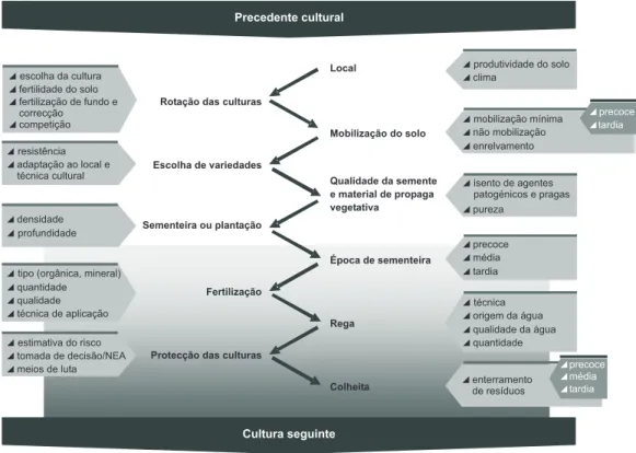 Figura 2.1 • Plano de exploração – aspectos a considerar (Adaptado de Piorr, 2004)