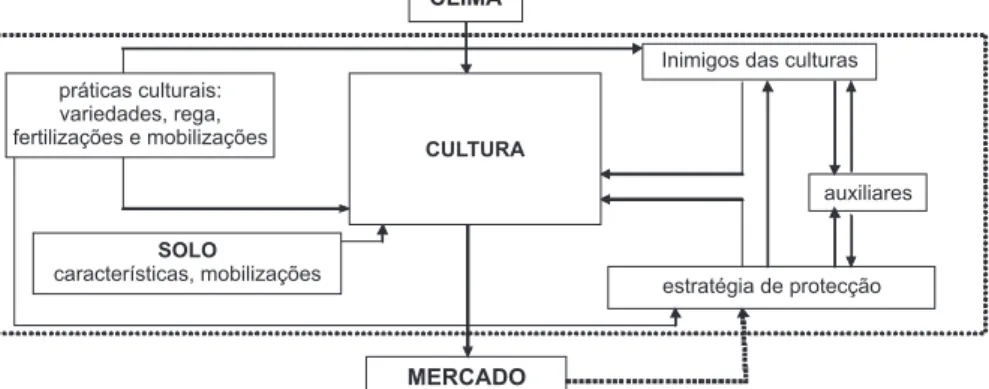 Figura 4.1 • Constituintes do sistema cultural que intervêm na tomada de decisão