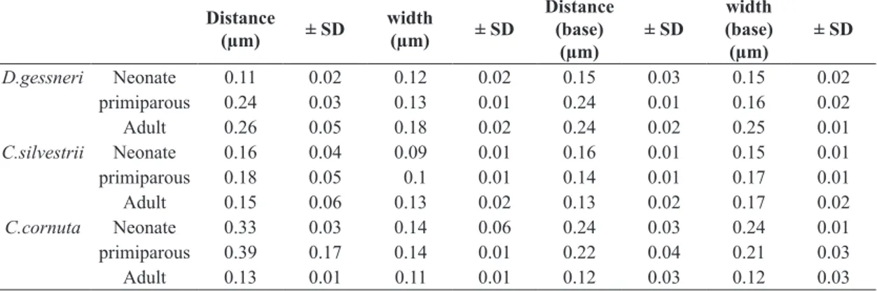 Table 1.  Mean distances (µm) and ± SD between setules, setules width, distance between the base setules and the base setules  width