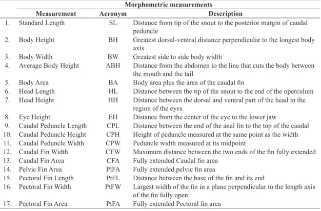 Table 2. Morphometric measurements and their descriptions.