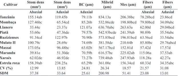 Table 2. Foliar morphometry of ten cultivars of tropical forage. Stomatal index (Stom index), stomatal density (Stom dens),  midrib, bulliform cells (BC), sclerenchyma fibers (Fibers), mesophyll of the leaf blade (Mes), coefficient of variation (CV)  and s