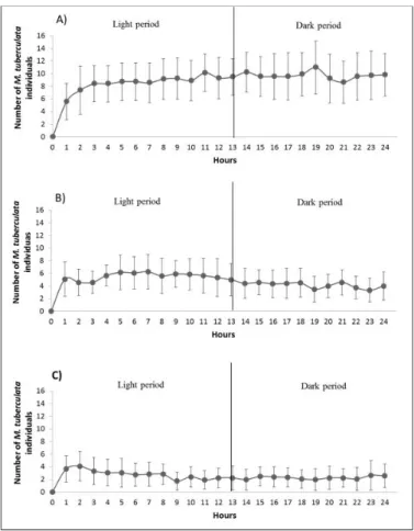 Figure 2. Mean values and standard deviation of the number of individuals of Melanoides tuberculata observed in the  light and dark periods based on the t‑test comparison