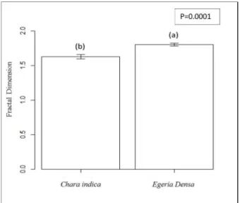 Figure 4. Mean values and standard deviation of fractal dimension figures determined in C