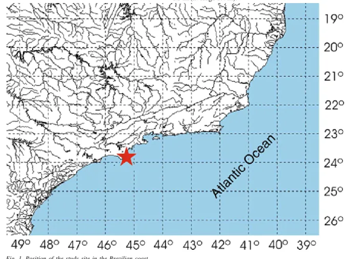 Fig. 1. Position of the study site in the Brazilian coast.