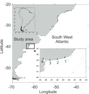 Figure 1. Study area in Southwest Atlantic Coastal  Ecosystem  (SWACE).  Sampling  location:  (1)  Necochea; 
