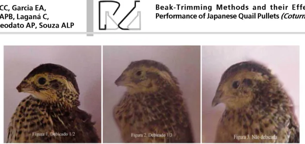 Table 3  - Weight gain (WG), feed intake (FI), feed conversion ratio (FCR), and mortality means of 1-35 day-old Japanese quails.