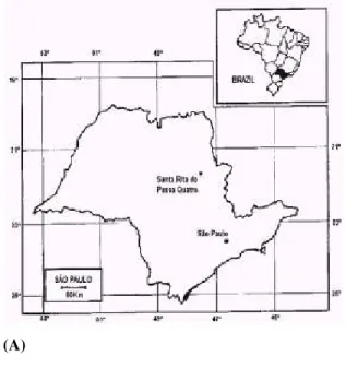 Figure 1. (a) Geographical position of the experimental site in southeast  Brasil; (b) photograph of micrometeorological tower at the Gleba Pé de  Gigante