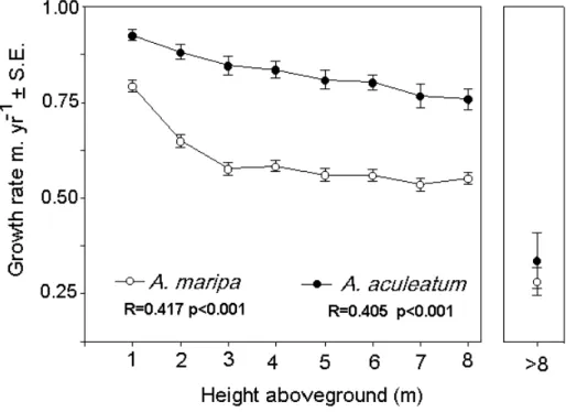 FIGURE 4. The relationship between growth rate and height of A. maripa and A. aculeatum at Pinkaití Site, Brazil