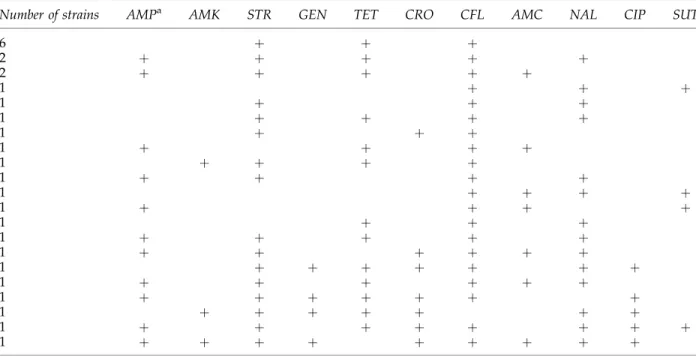 Table 2. Resistance Patterns of 28 Multidrug-Resistant Escherichia coli Strains Isolated from Cattle Carcasses During Slaughtering