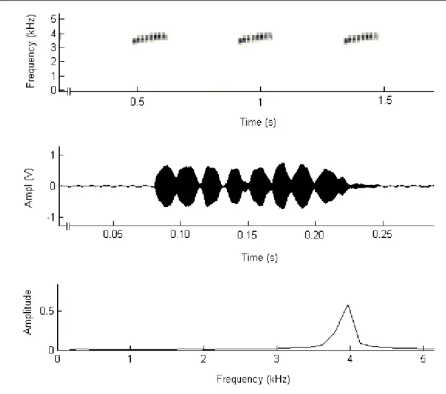 Figure 3. Advertisement call of Epipedobates flavopictus. Above- Spectrogram, Middle- Oscilogram of a single call