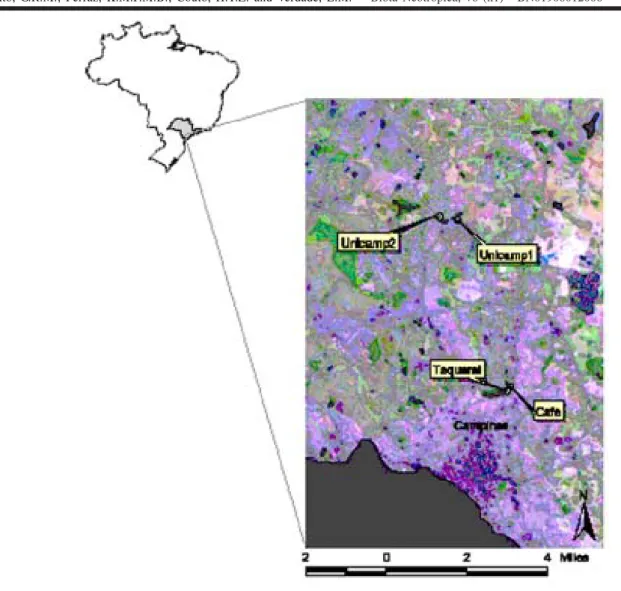 Figure 1. Location of the study sites, Campinas, east central region of the State of São Paulo, Brazil.