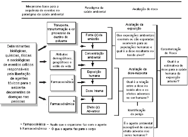 Figura 11 – O paradigma da saúde ambiental e a sua relação com a avaliação de riscos [Sexton et  al., 1995]