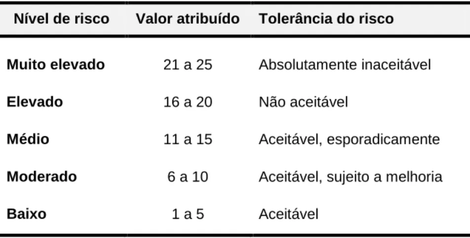Tabela 13: Classificação dos níveis de risco. 