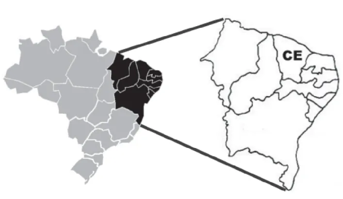 Figure 1. Diagrammatic map of Brazil (left), showing the northeastern region (black). A detail of the northeastern region (right) showing the Ceará state (CE).
