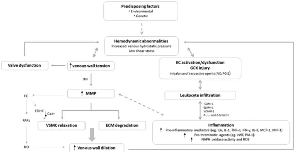 Figure 1. Schematic representation of the interplay of the pathophysiological mechanisms  contributing to CVD development