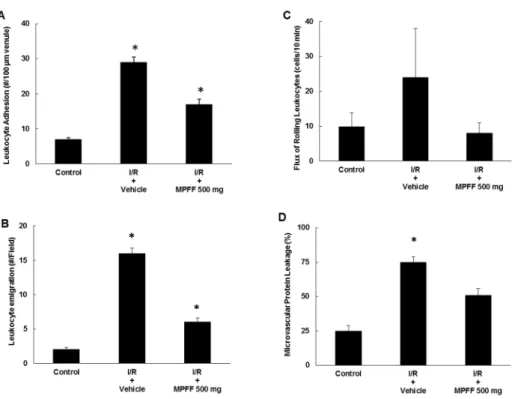 Figure 2. MPFF 500 mg attenuates the postischemic increases in leukocyte adhesion (A) and  emigration (B), flux of rolling leukocytes (C), and microvascular protein leakage (D) in rat cremaster  muscles