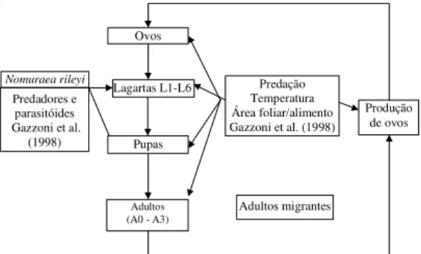 Figura 4. Modelo de esporulação de Nomuraea rileyi, e as interações com outros modelos do sistema