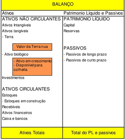 Figura 9 – Balanço de uma empresa com ativo florestal 16 Fonte: Penttinen e Rantala (2008)  