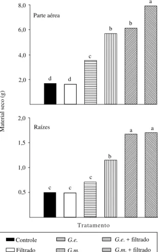 Figura 1. Material seco da parte aérea e raízes de plantas de soja cultivadas em substrato com alta disponibilidade de Mn, micorrizadas e não micorrizadas com Glomus etunicatum (G.e.) ou G