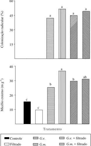 Figura 2. Colonização radicular e produção de micélio externo total de fungos micorrízicos em substrato com alta disponibilidade de Mn, cultivado com plantas de soja micorrizadas e não micorrizadas com Glomus etunicatum (G.e.) ou G