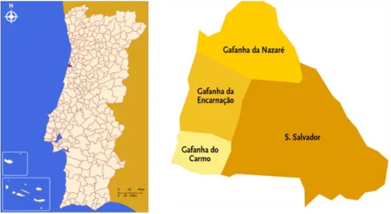 Figura 2-4 Mapas de localização do município de Ílhavo e respectivas freguesias. 