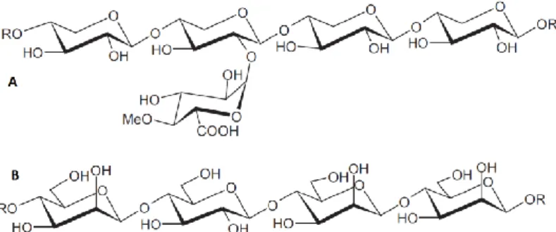 Figura 5 – Estruturas dos percursores da lenhina. Da esquerda para a direita o álcool p-hidroxicinâmico, o  álcool coniferílico e o álcool sinapílico