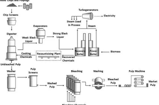 Figura 6 – Diagrama do processo de produção de pastas químicas, via processo kraft. Adaptado do website  Mercer International Inc