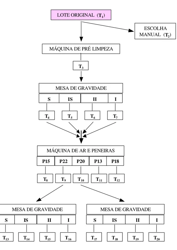 Figura 1. Esquema do fluxo operacional utilizado no beneficiamento das sementes e seqüência de  obtenção dos diversos tratamentos (T 1 , T 2 , ..., T 20 )