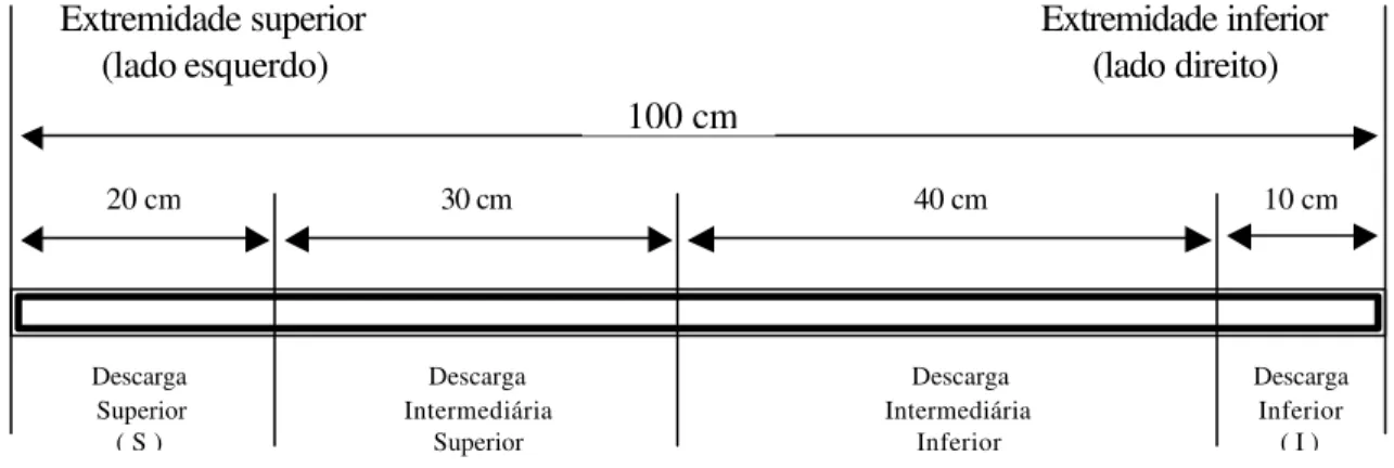 Figura 2. Esquema utilizado na divisão da região de descarga da mesa de gravidade para obtenção  de diferentes tratamentos (vista frontal do equipamento)