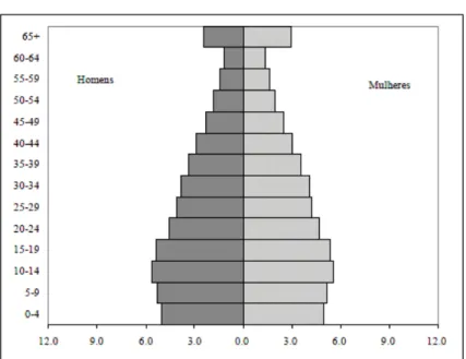 Gráfico 01: Apud BERQUÓ e BAENINGER 2000, p.09. Estrutura Etária do Brasil de 1950.