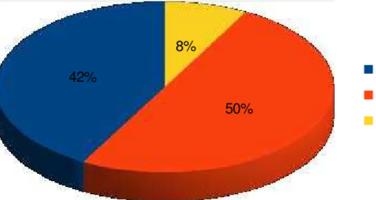 GRÁFICO 1 - Acesso dos requerimentos ao BPC para PcD 2009-2013 