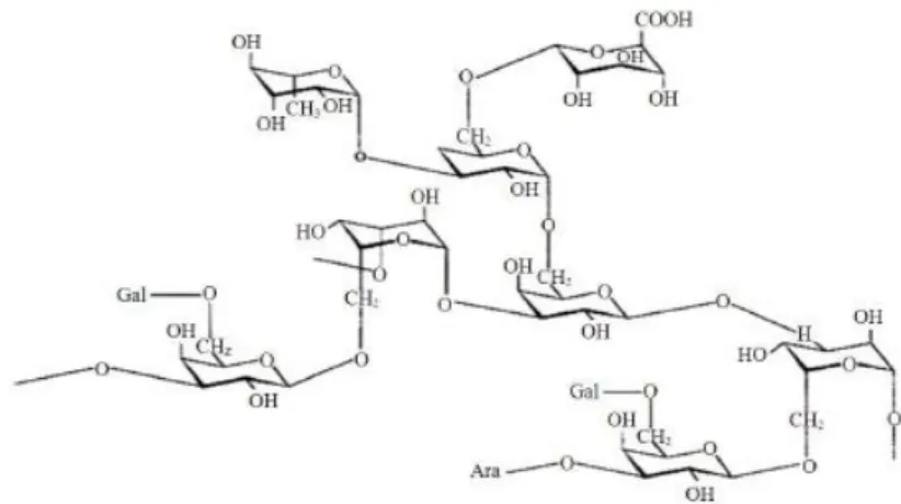 Figura 2: Estrutura da goma-arábica (Dauqan e Abdullah, 2013). 