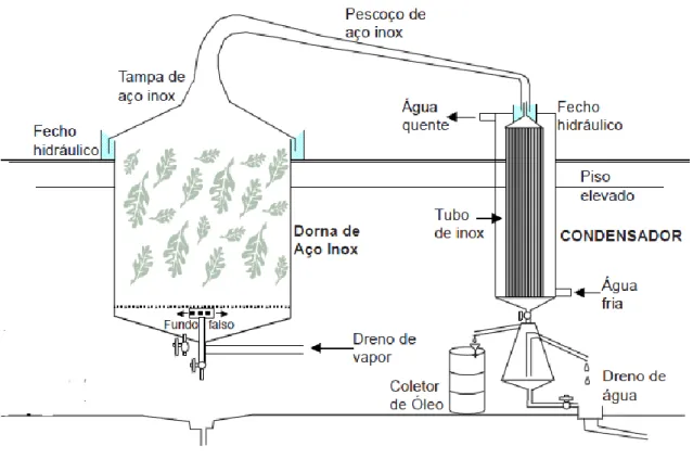 Figura 6 - Esquema do destilador industrial para a extração de óleos essenciais (Vitti e Brito,2003)