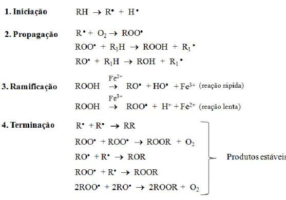 Figura 7 - Mecanismo de autoxidação lipídica (RH – Ácido gordo insaturado; R •  – Radical livre; ROO •  –  Radical peróxido; e ROOH – Hidroperóxido) (adaptado de Ramalho e Jorge, 2006; Laguerre, et al., 2007, 