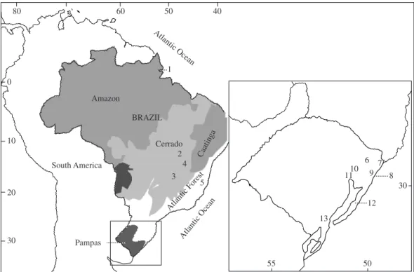 Figure  1.  Localities  of  collect:  1) Tartarugalzinho  (AP);  2)  Serra  da  Mesa(GO);  3)  Corumbá  (GO);  4)  Fazenda  Regalito  (GO);  5)  Monte Verde  (ES);  6)  Tainhas  (RS);  7)  Torres  (RS);  8)  Tramandaí  (RS);  9)  Osório  (RS);  10)  Sapira
